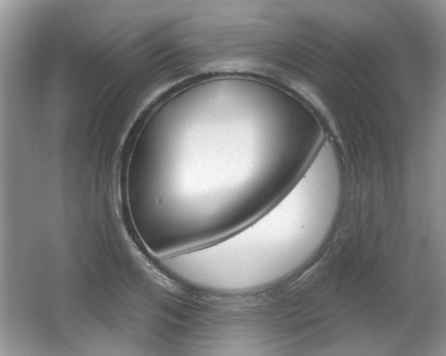 X0000067370984200603310950