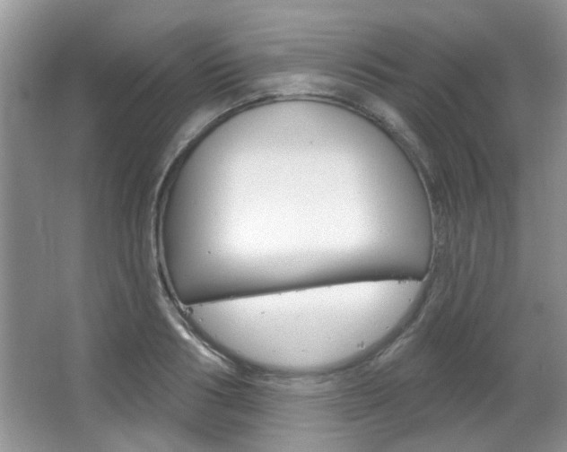 X0000067370986200603310950