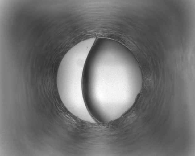 X0000067371010200603310949