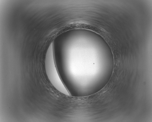 X0000067371014200603310949