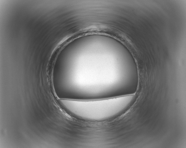 X0000067371018200603310949