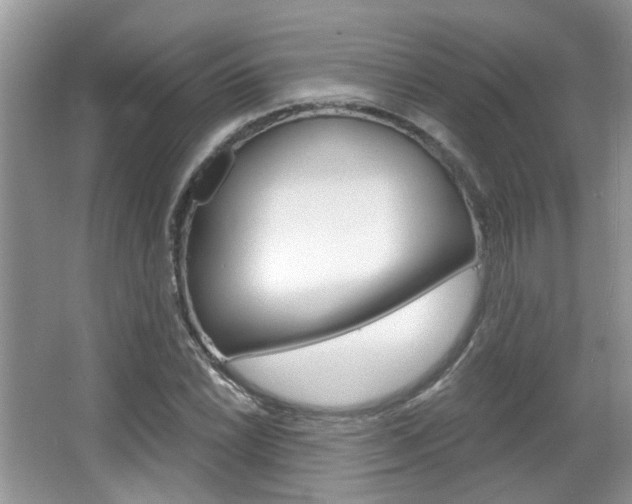 X0000067371022200603310949