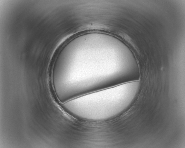X0000067371024200603310949