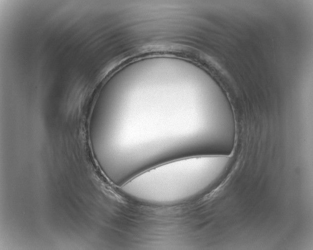X0000067371025200603310949