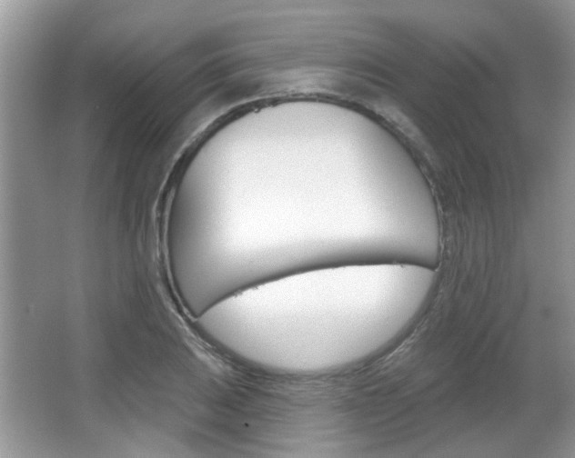 X0000067371031200603310949
