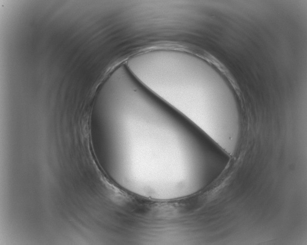 X0000067371049200603310949