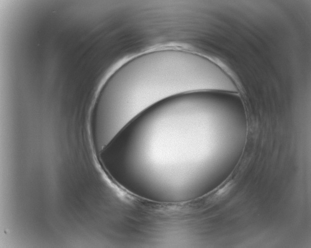 X0000067371054200603310949