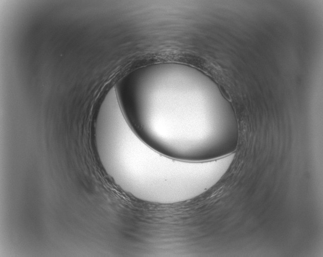 X0000067371057200603310949