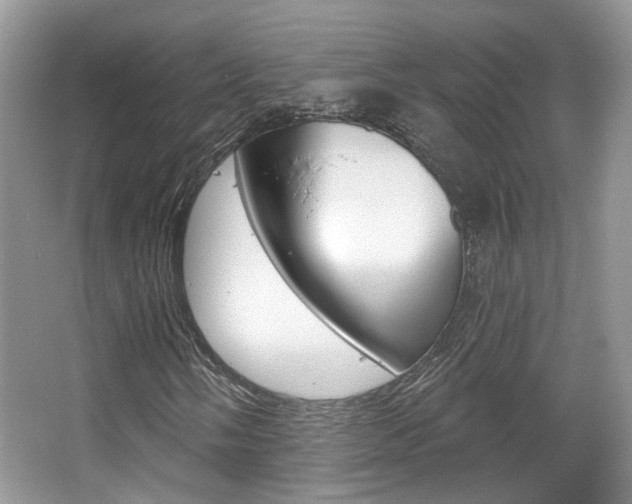 X0000067371058200603310949