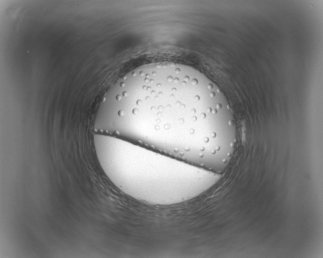 X0000067371059200603310949