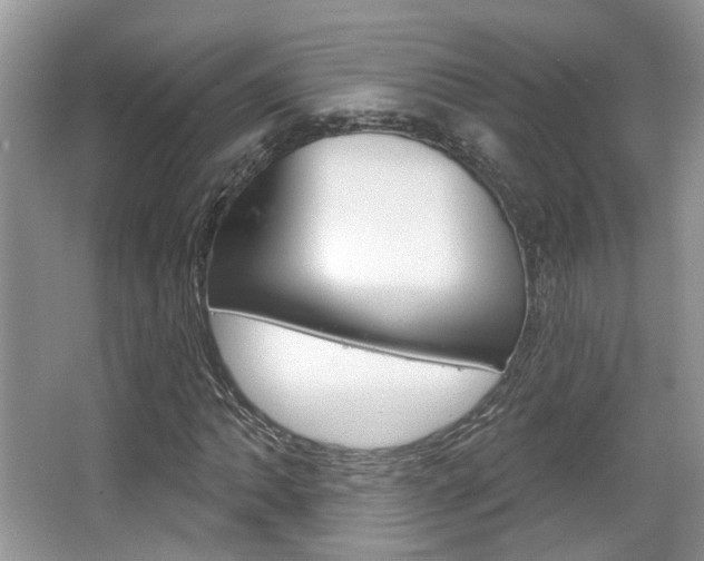 X0000067371062200603310948