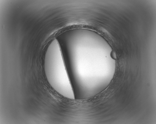 X0000067371064200603310948