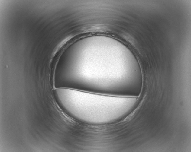 X0000067371066200603310948