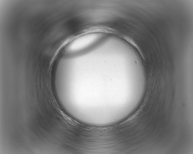 X0000067371067200603310948