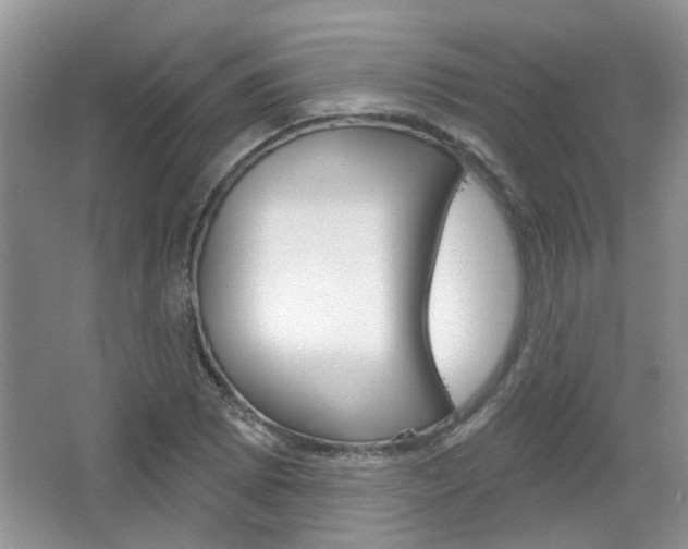 X0000067371073200603310948