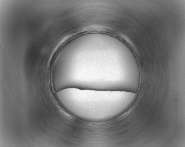 X0000067371075200603310948