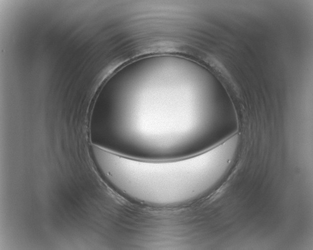 X0000067371081200603310948