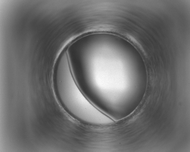 X0000067371085200603310948