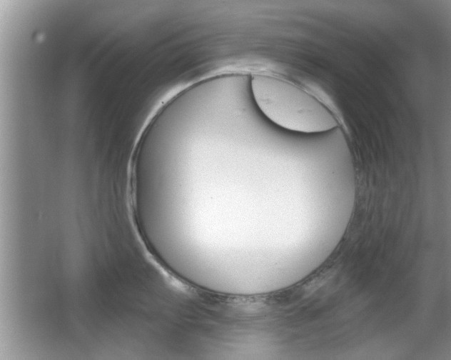X0000067371103200603310948