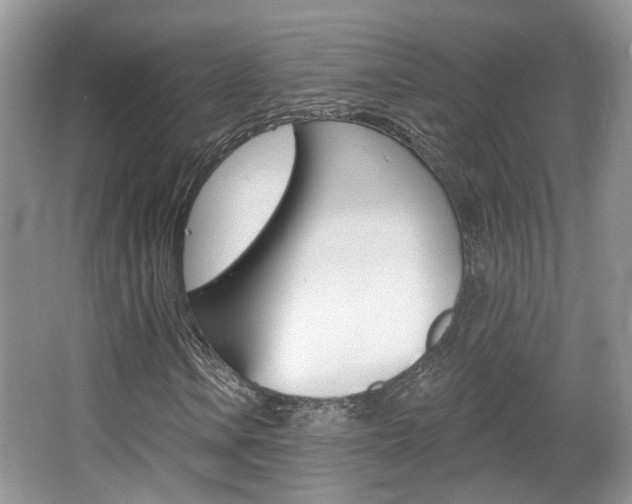 X0000067371106200603310947