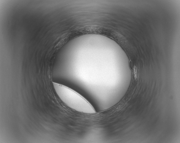 X0000067371107200603310947