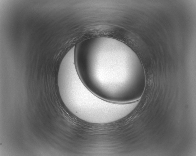 X0000067371108200603310947