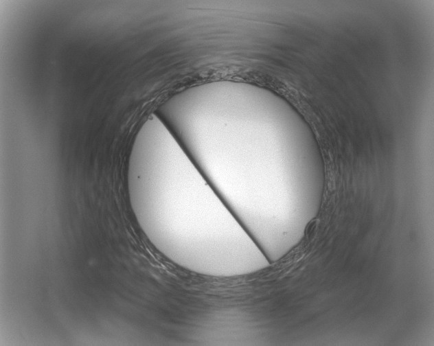 X0000067371109200603310947