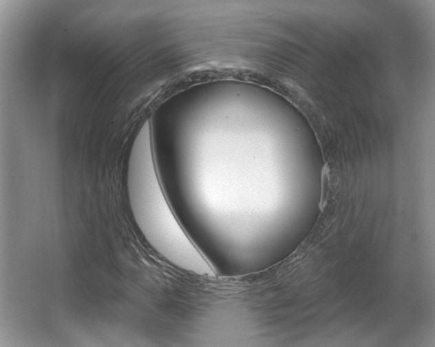 X0000067371110200603310947