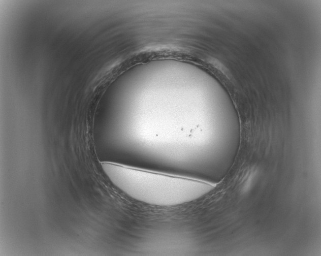 X0000067371111200603310947