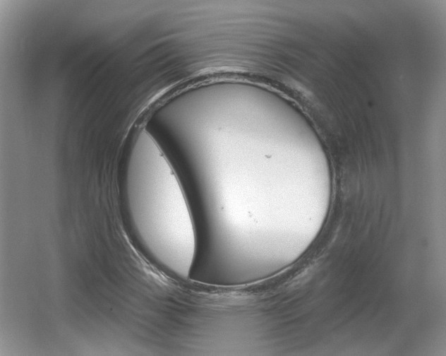 X0000067371113200603310947