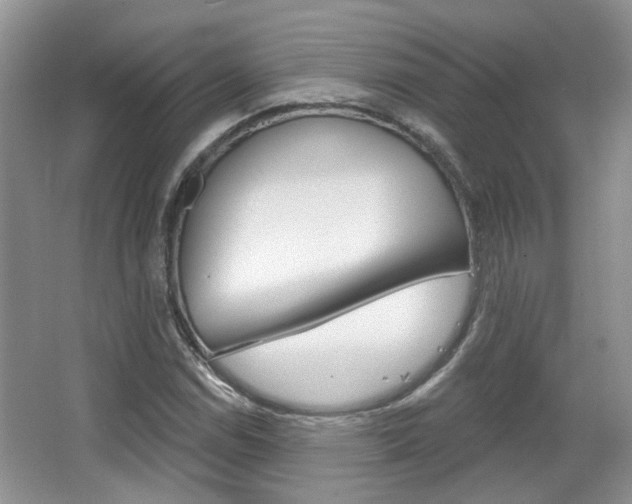 X0000067371114200603310947