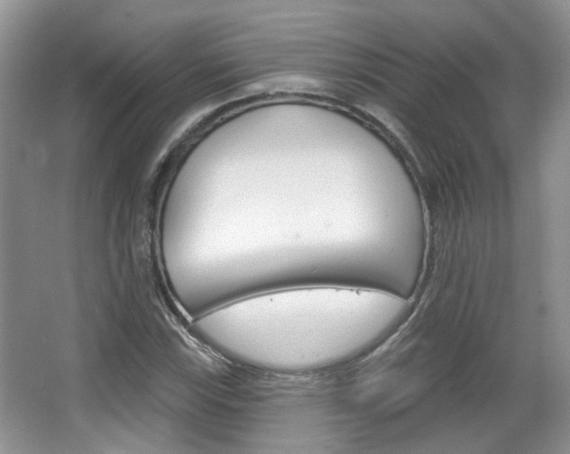 X0000067371115200603310947