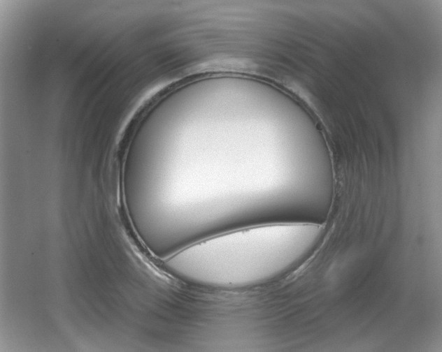 X0000067371123200603310947