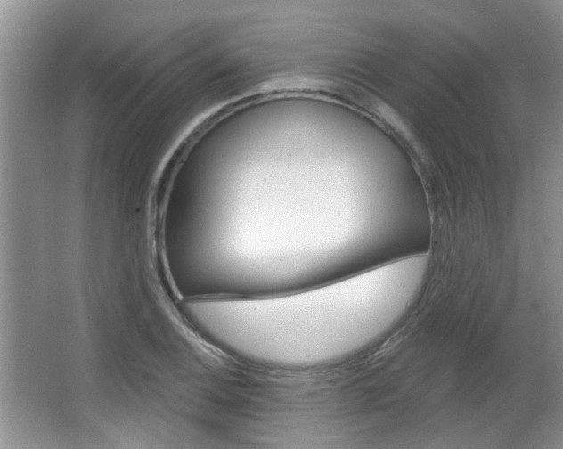 X0000067371124200603310947