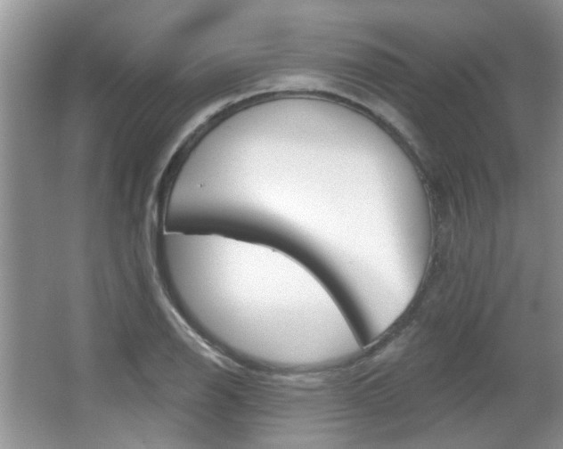 X0000067371126200603310947