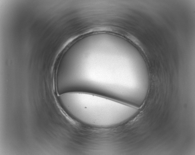 X0000067371127200603310947