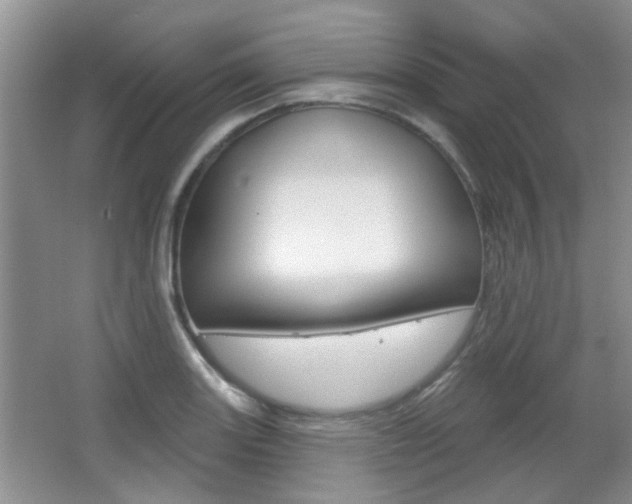 X0000067371131200603310947