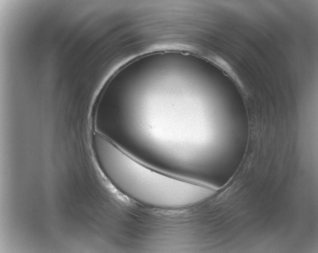 X0000067371140200603310948
