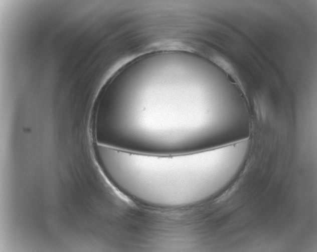 X0000067371141200603310948