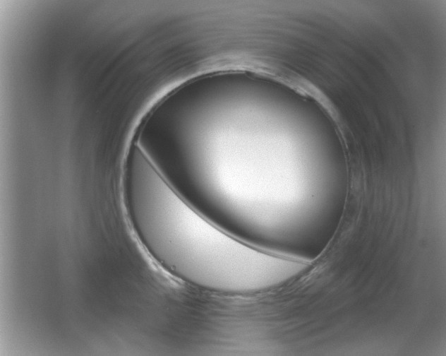 X0000067371144200603310948