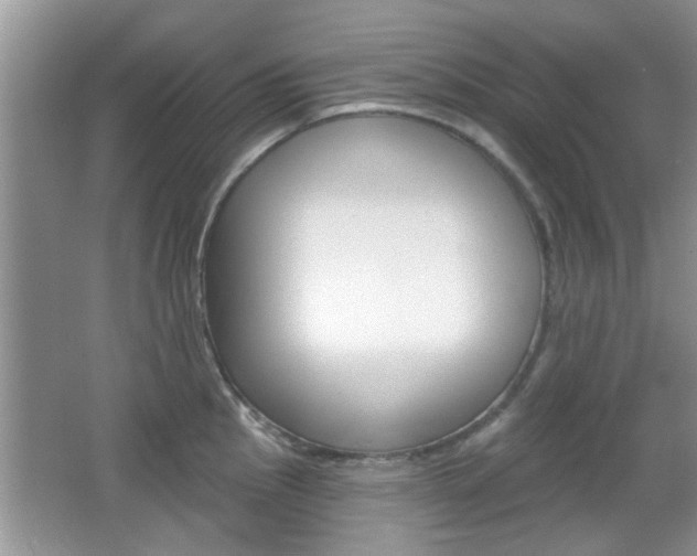 X0000067371145200603310948