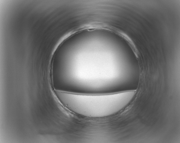 X0000067371146200603310948