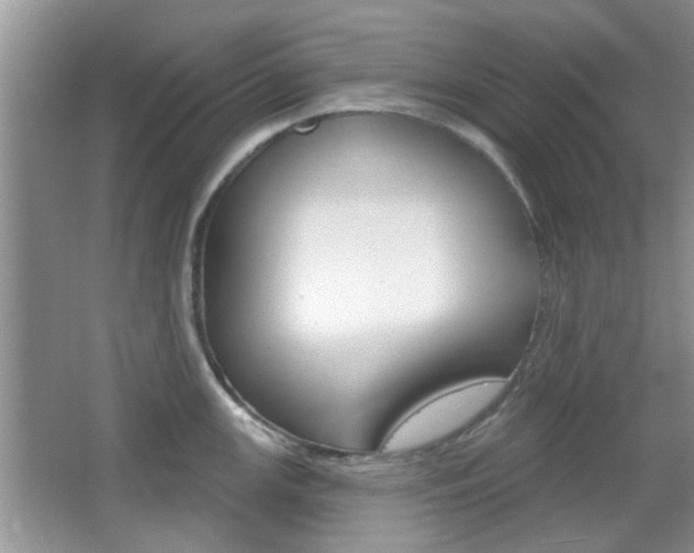 X0000067371147200603310948