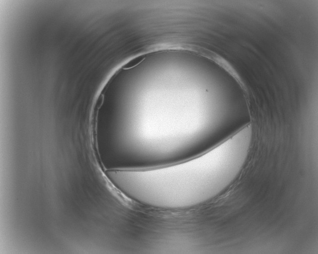 X0000067371148200603310948