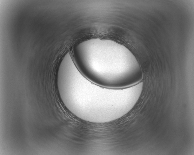 X0000067371153200603310947