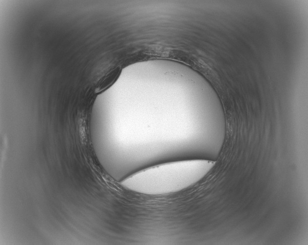 X0000067371154200603310947