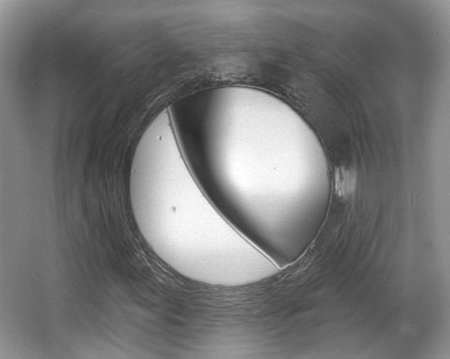X0000067371155200603310947