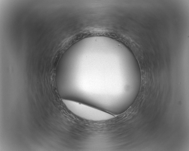 X0000067371157200603310947