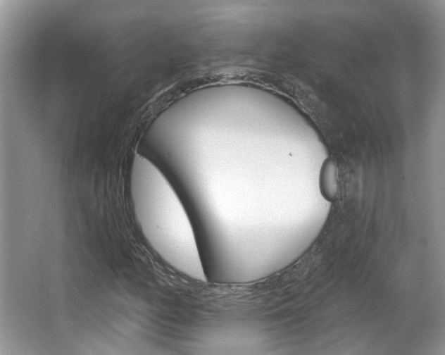X0000067371158200603310947