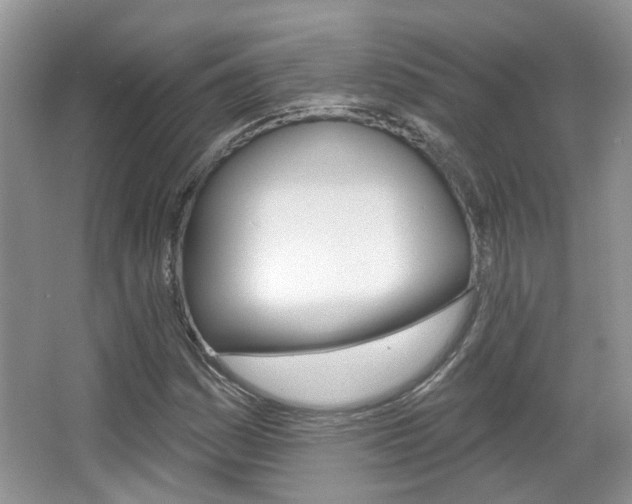 X0000067371161200603310947